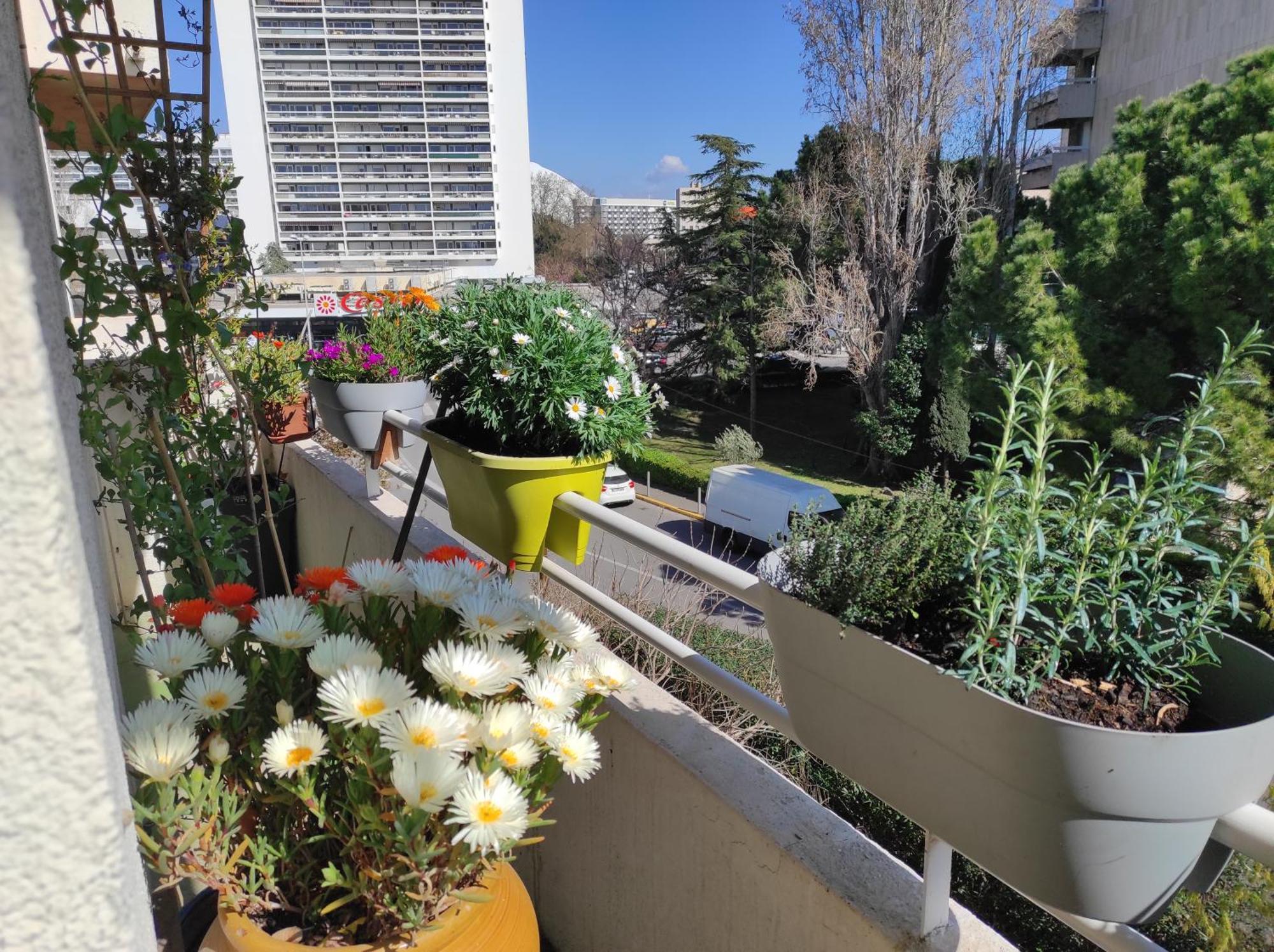 Appartement T3 Prado St-Giniez à Marseille Extérieur photo